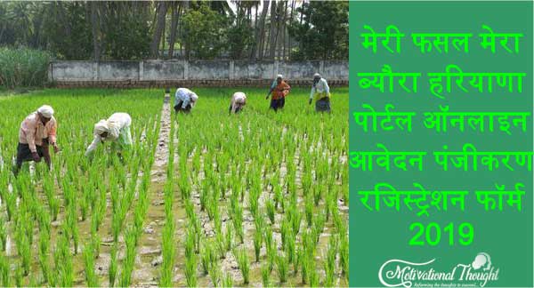 मेरी फसल मेरा ब्यौरा हरियाणा | पोर्टल ,ऑनलाइन आवेदन, पंजीकरण, (रजिस्ट्रेशन) फॉर्म 2019