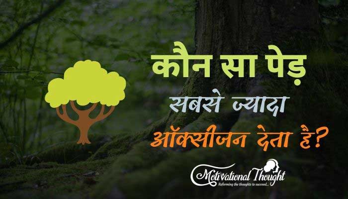 कौन सा पेड़ सबसे ज्यादा ऑक्सीजन देता है | रात में ऑक्सीजन देने वाले 10 पौधे 