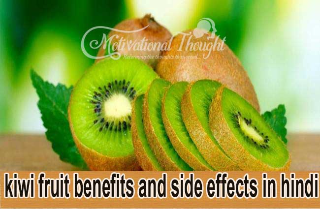 कीवी फल के फायदे एवं नुकसान | kiwi fruit benefits and side effects in hindi |